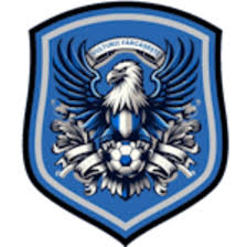 https://img.allanagami.com/img/football/team/09bb5b9732bc080d522c37e74ce70004.png